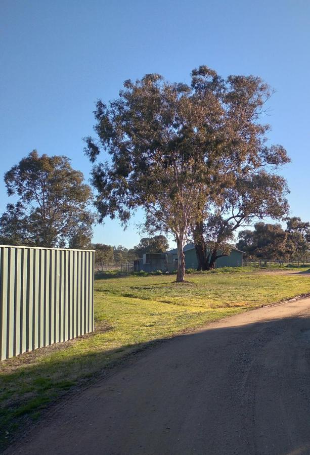 Allonville Gardens Motel Wagga Wagga Exterior photo